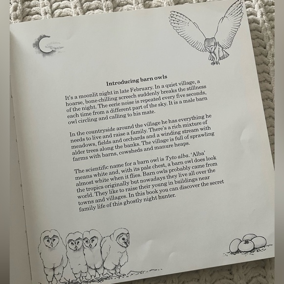 🦉”A Family of Owls” Vintage Children’s Picture Book with Color Photographs🦉 - Picture 11 of 15